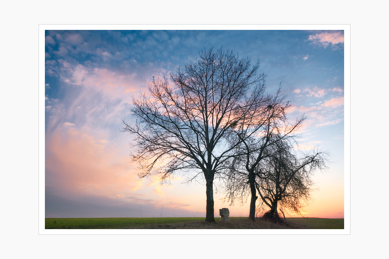 Max Schiefele Alle Bilder DS100004 PRINT